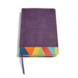 RVR 1960 Biblia de Estudio Arcoiris, morado/multicolor/ Rainbow Study Bible RVR 1960 Purple/multicolor LeatherTouch (Spanish Edition)