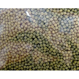 Hikari Sinking Cichlid Excel - Mini Pellets - 2.2 lb