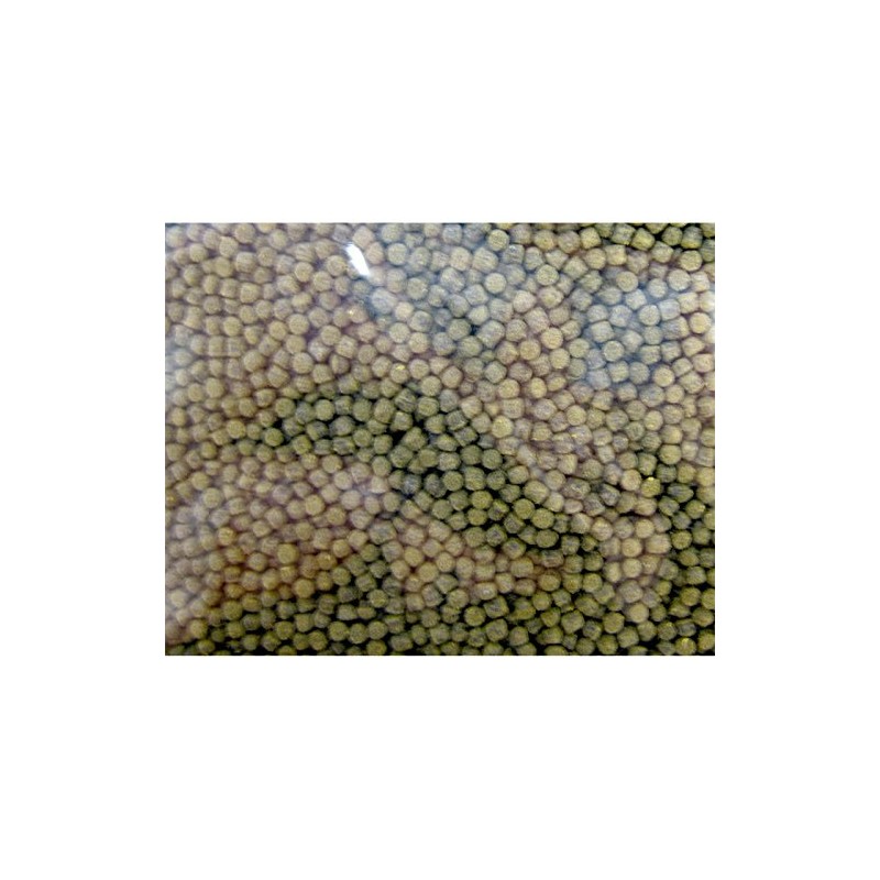 Hikari Sinking Cichlid Excel - Mini Pellets - 2.2 lb