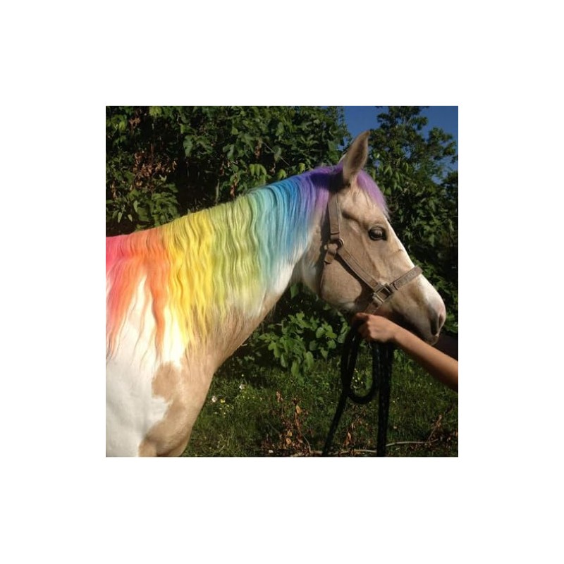 Equestrian Pony Chalks Pack of 24 colours