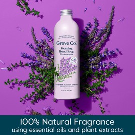 Grove Co. Hydrating Foaming Hand Soap Refills (2 x 12 Oz), Moisturizing Hand Wash, No Plastic or Parabens, Cruelty Free, 100% Natural Lavender Blossom & Thyme Scent (Pack of 2)