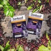 Sambucol Black Elderberry Drink Powder - Daily Immune Black Elderberry