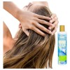 Shampoo Capilar Suero Renova Nekane 300 G Sin Parabenos