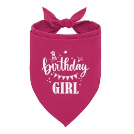 Birthday Girl Dog Bandana, Deep Pink Dog Bandana, Funny Cute Dog Bandana, Pet Dog Triangle Scarf, Pet Dog Scarf Accessories, Girl Dog Bandana, Dog Bandana for Small Medium Large Dogs (E53)