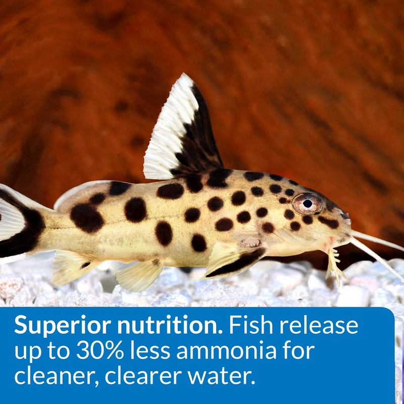 API BOTTOM FEEDER PELLETS WITH SQUID Fish Food 4.0-Ounce Container