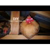 Weilan Pinless Peepers with Pliers Chickens Blinders Pheasant Poultry Spectacles