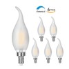 carryBC Candelabra LED Bulbs 2700K 40w Equivalent Improve Flame tip