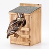Screech Owl House With Bird Stand - Large Cedar Premium
