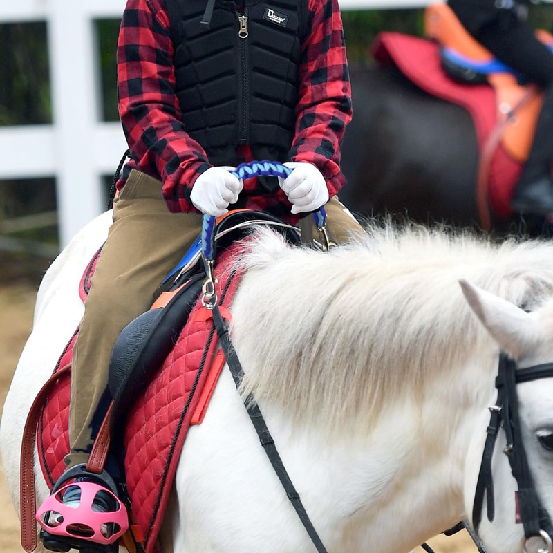 vomvomp Saddle Balance Strap Grab Strap with Snaps for English