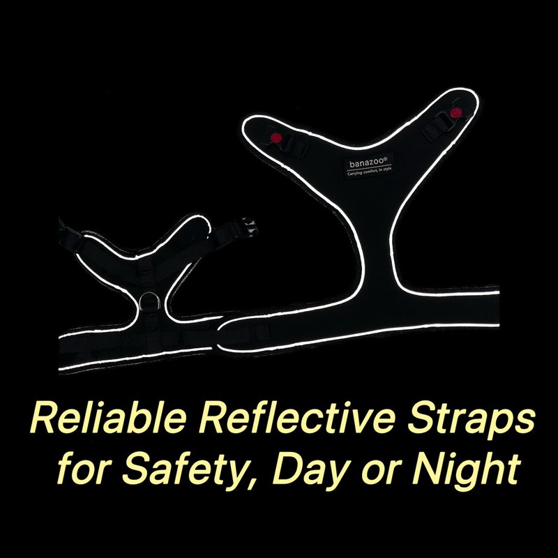 Harness for Cats (Black, XXS)