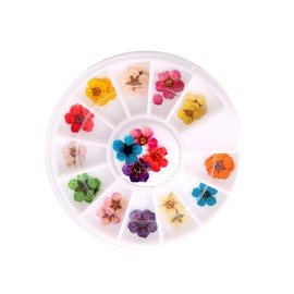 Vaguelly Colorful Dried Flower Nail Art Accessories Petal Plum Blossom Stickers for Creative Manicure for Home Professional Use