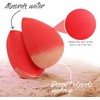 BEAKEY 5 Pcs Makeup Sponge Set, Foundation Blending Beauty Sponge,