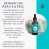 LilaLavanda - Aceite de Argán Puro de Marruecos - 59
