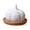 Plant Therapy Plant Therapy Pumpkin Passive Diffuser for Fall, Porous,