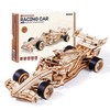 ROKR 3D Wooden Puzzle 1:18 Scale Formula Racing Cars for