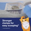 Fresh Step Outstretch Advanced Clumping Litter with F28ebreze Freshness &