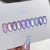 Divock Divok Unicorn 10 Piece Set Magnetic Gel Glitter Gel