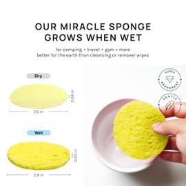 AOA Studio 50-Count Compressed Facial Sponges 100% Natural Cosmetic Spa Sponges for Facial Cleansing, Exfoliating Mask, Remove for Makeup, Dead Skin, and Dirt (Yellow, 50 Counts)