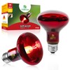 REPTI HOME Infrared Reptile Heat Lamp Bulbs,2 PCS 100W Reptiles