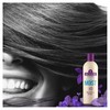 Aussie Miracle Moist Shampoo Für Durstiges Haar 1er Pack (1