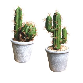 Fycooler Artificial Succulent Plants Faux Cactus-Decorative Faux Succulents Potted Fake Cactus Cacti with Rock and Sand,Artificial Faux Cactus For Bathroom/Home Décor DIY House Decorations(B SET)