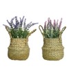 Decoris Everlands Polyethylene Lavender, 16 cm Diameter, 27 cm Height,
