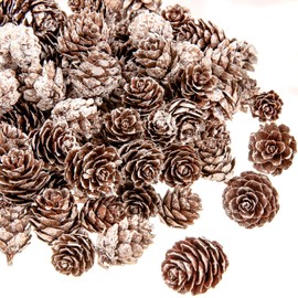 Whaline 100Pcs Christmas Natural Pinecones Mini Snow Pine Cones Rustic Dried Pine Cone in Bulk Christmas Party Ornament for DIY Crafts Home Xmas Tree Wreath Garland Holiday Fall Winter Decoration