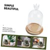 iplusmile Preserved Flower Glass Dome with Wooden Base Flat Bottom