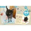 Lactic Acid Bacteria Supplement for Cats, Natsumun's Lactic Acid Bacteria,