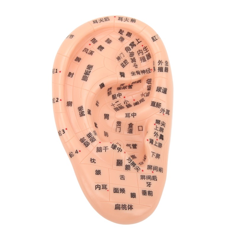 600Pcs Acupressure Ear Beads Massage Acupoint Pressure Stimulation Paste Ear
