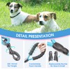 BAAPET 2/4/5/6 FT Strong Dog Leash with Comfortable Padded Handle