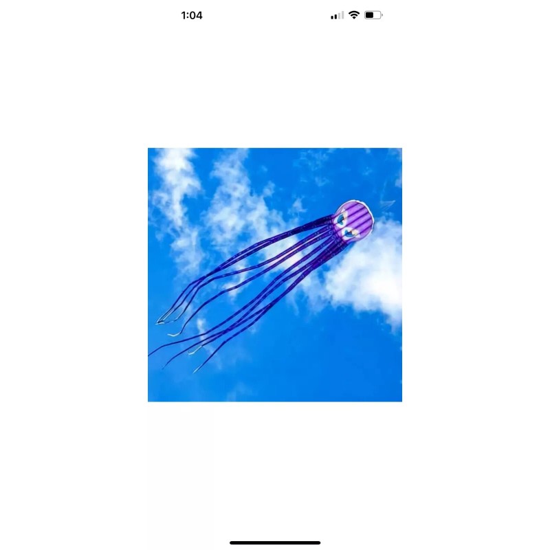 X Kites Giant 315" Octopus Airfoil Nylon Kite For Adults