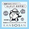Kanso-san Moisturizing Power Skin Care Primer 30g Makeup Base Skin