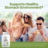 HUJ Pylo Protect - Lactobacillus Reuteri Supplement - Supports Healthy