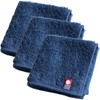 TABARAT Towel Handkerchief, Handkerchief, Imabari, Set of 3, 7.9 x