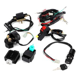 Dirt Bike Wiring Harness 125 ccm, Pitbike Wiring Harness 125 ccm, Electric Start Quad, 110 Pit Bike Electric Start Wiring Harness, Powersports Wiring Harness, Complete Kick Start Engine Wiring Harness