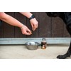 The Golden Paste Company - Natural Premium Turmeric for Dogs