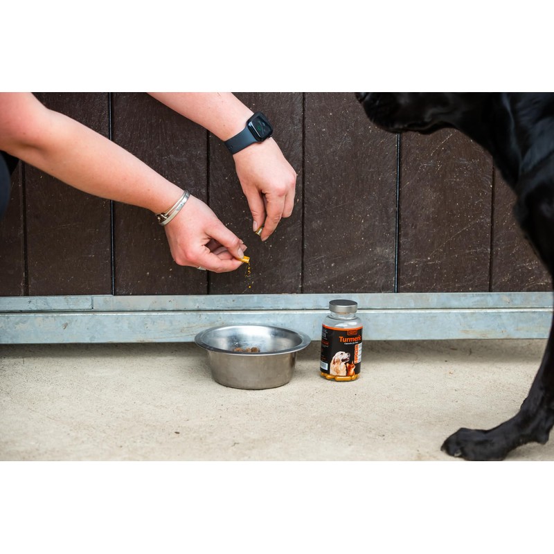 The Golden Paste Company - Natural Premium Turmeric for Dogs