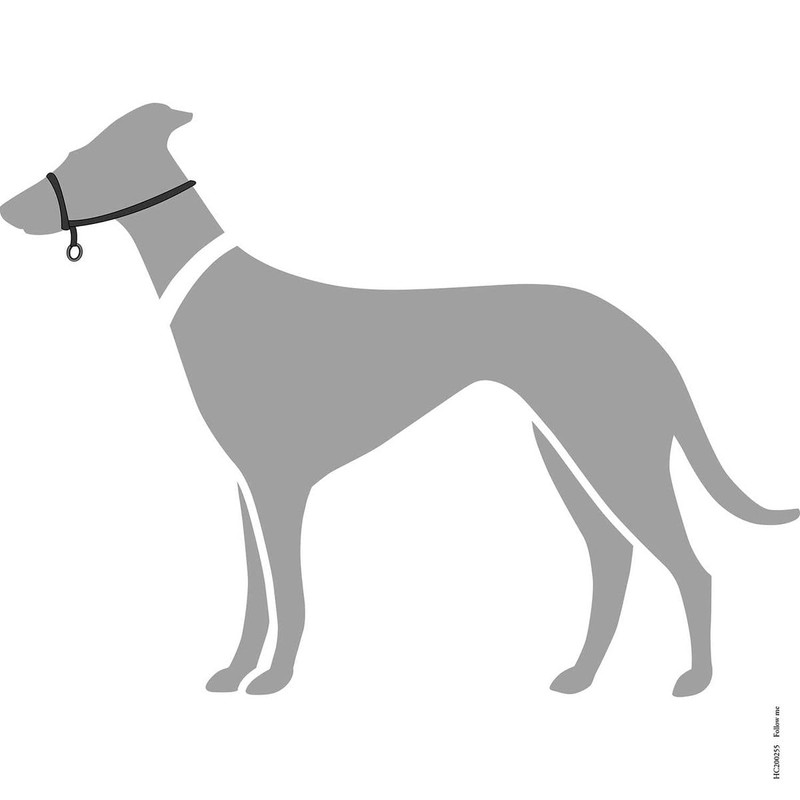 HUNTER Follow Me Education Nylon Harness, Size 2, Medium, Black