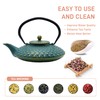 Cast Iron Teapot,SECHUDO Tea Kettle Coated with Enameled Interior for