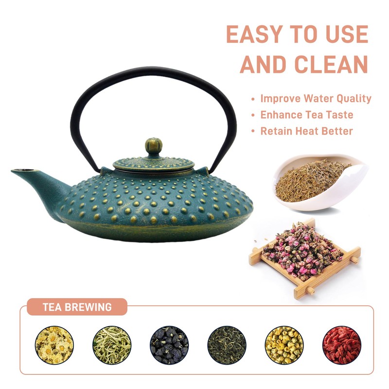 Cast Iron Teapot,SECHUDO Tea Kettle Coated with Enameled Interior for
