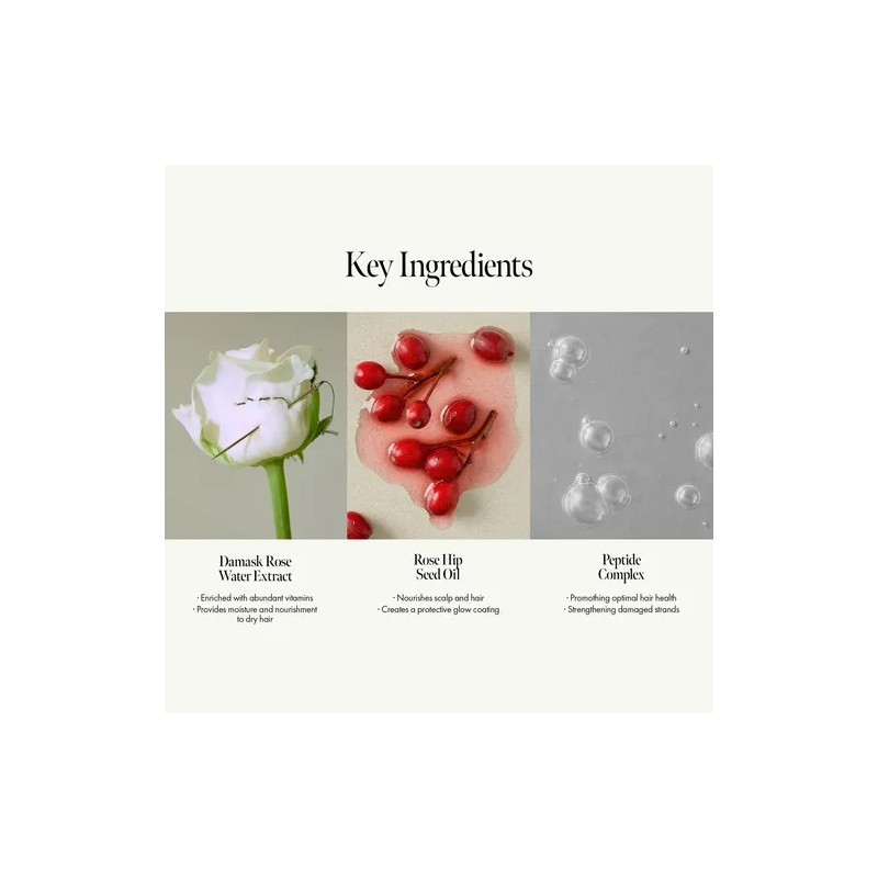 ~/./tratamiento En Ampollas Para El Cabello Anillo Rosy Nigh
