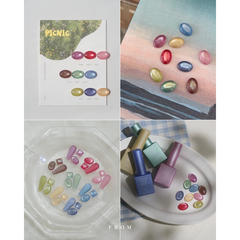 From the Nail Picnic Magnet Gel + 30 parts /