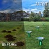 Apello 8 Pack Mole Repellent Gopher Repellent Ultrasonic Mole Repeller
