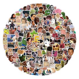 Bric Dodo Pack of 200 Meme Stickers Water Bottles Laptop Phone Guitar Skateboard Computer Suitcase Bicycle Meme Vinyl Stickers Waterproof Aesthetic Stickers for Teenagers Children Adults