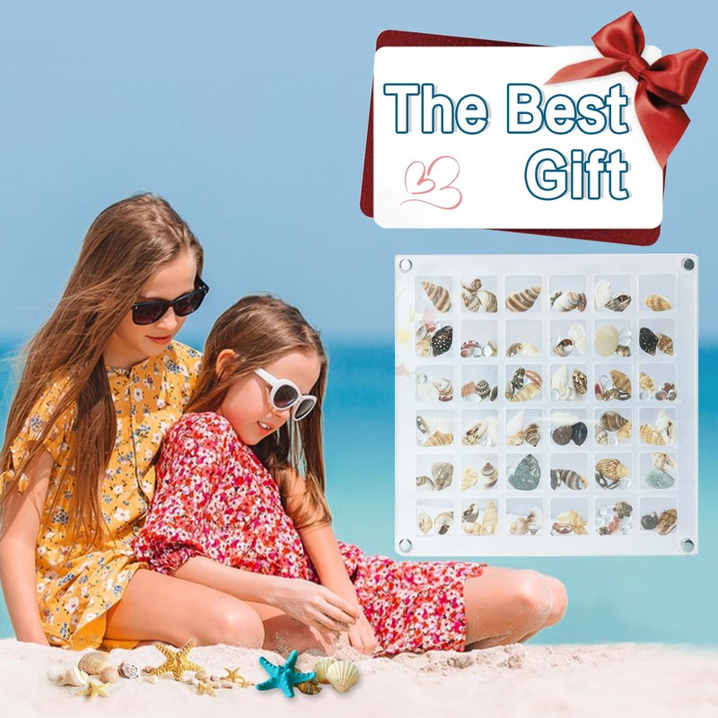 Acrylic Magnetic Seashell Display Box Seashell Storage Box 36 Grids