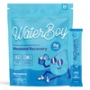 Waterboy Weekend Recovery | 3,200mg Electrolyte Powder Packets | Ginger