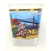 Michigan State Wraparound Shot Glass