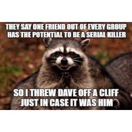 Funny raccoon  Dave refrigerator magnet 2 1/2  x 3 1/2"