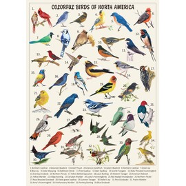Vintage Bird Puzzles for Adults 1000 Pieces, Animal Hummingbird Puzzle of 36 Colorful Birds in North America, Bird Jigsaw Puzzles Nature